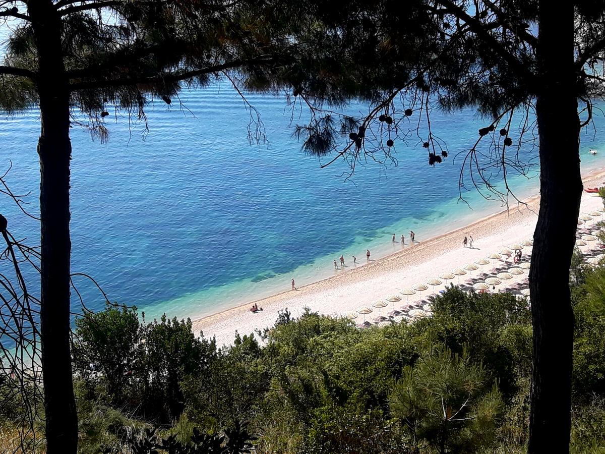 Viverenumana Appartamenti La Tua Casa In Centro A Pochi Passi Dal Mare Exterior photo